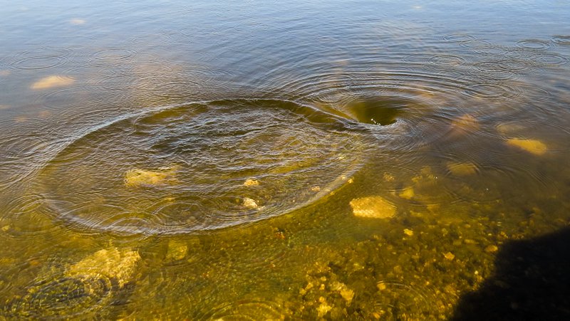 Погода и клев рыбы