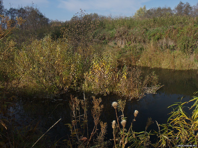 сентябрь-октябрь