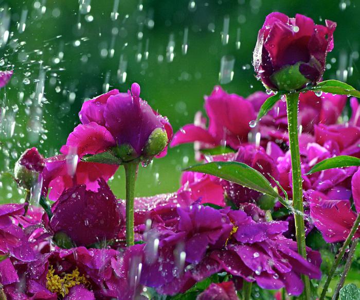 Прогноз погоды на весну