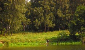 рыбалка в Подмосковье