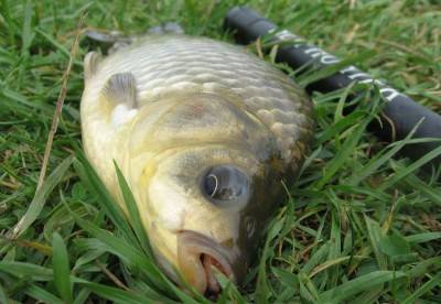 Летняя рыбалка