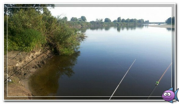 места обитания лещ