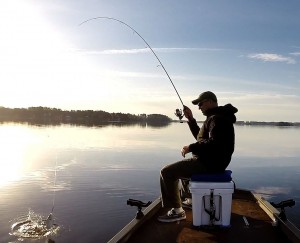 Ловля окуня весной: советы опытных рыбаков
