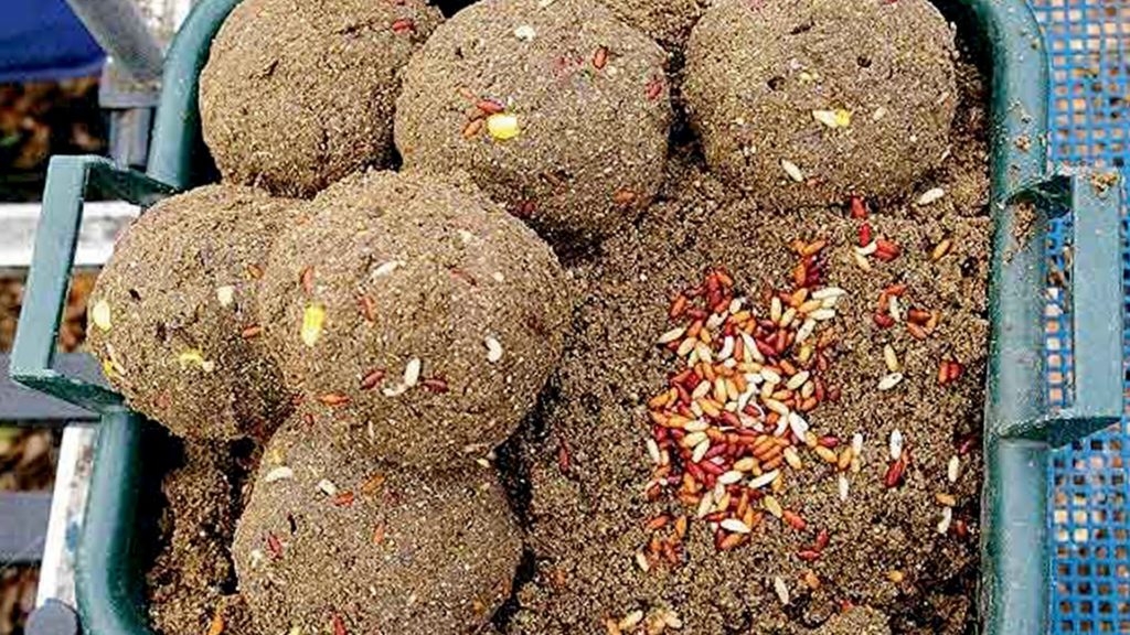 Прикормка рыбы