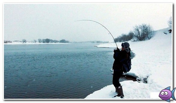 ловля щуки зимой на открытой воде
