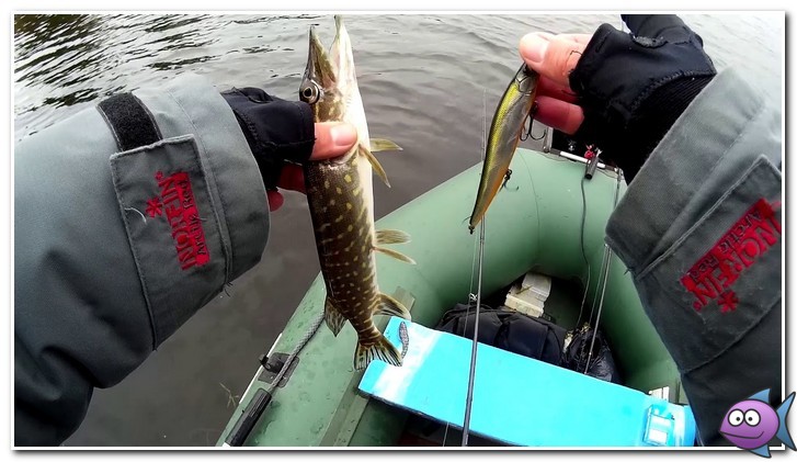 щука осенью с лодки