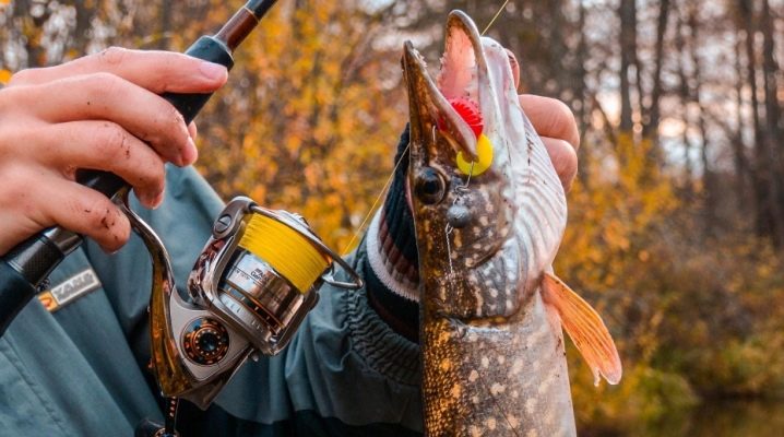 Ловля щуки в сентябре