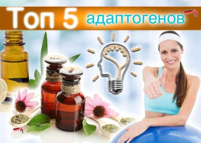 Если у вас упадок сил. Топ 5 адаптогенов