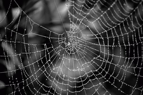 народная примета про погоду