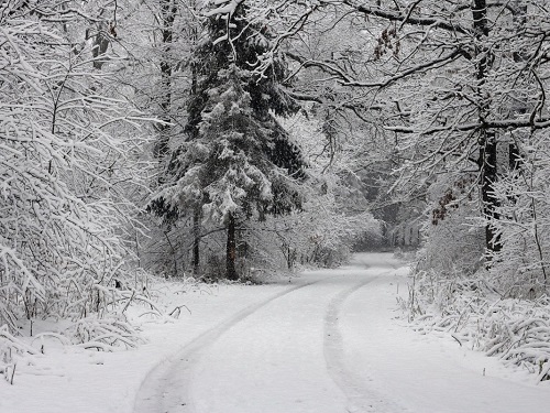 Народные приметы на декабрь 2019 года