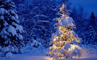 Народные приметы на 8 декабря (День святого Климентия) – обычаи, поверья на погоду