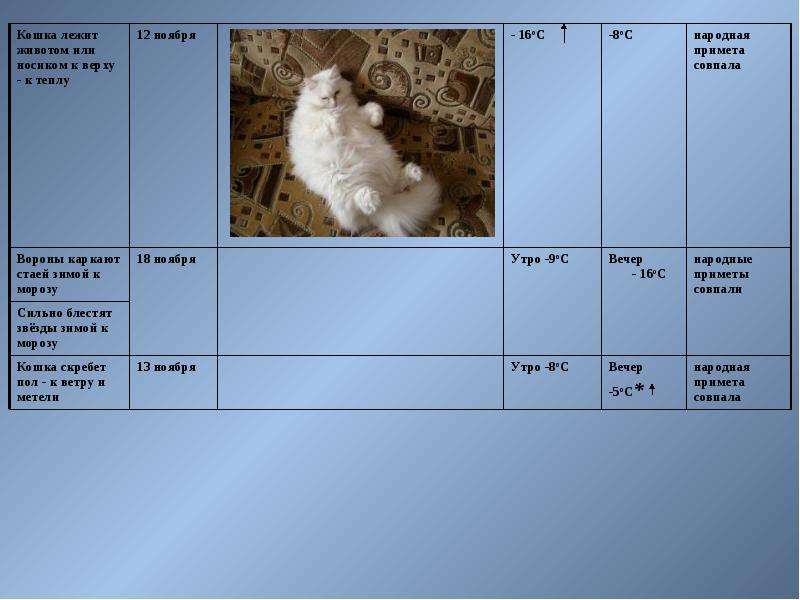 Народные приметы как средство определения погоды - презентация к уроку Окружающий мир, слайд №22