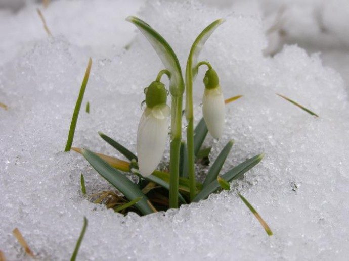 Народные приметы на март 2021 года на каждый день