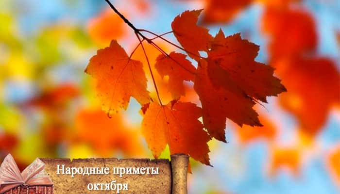 приметы на свадьбу в октябре