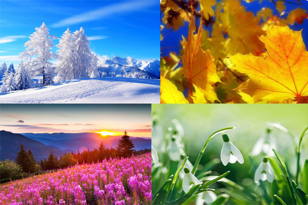 времена года, разная погода