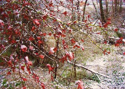 приметы на погоду осенью