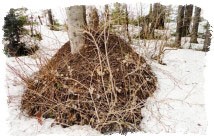 Народные приметы о погоде на весну