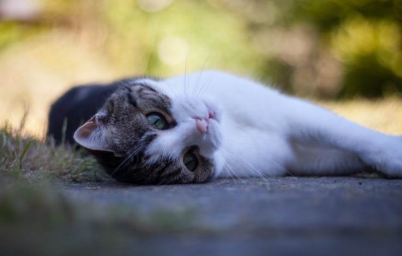 какие народные приметы существуют о перемене погоды