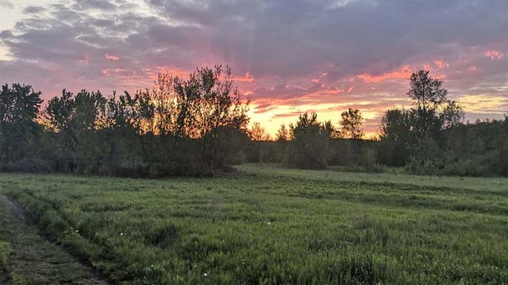 Красная вечерняя заря