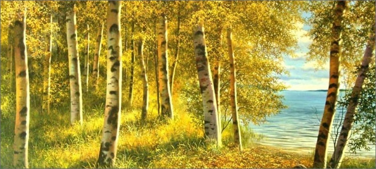 желтые-березки