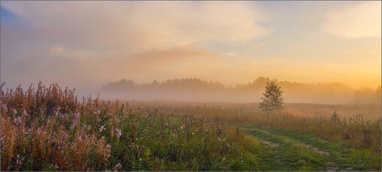 туманное-утро