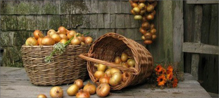 лук-в-корзинах