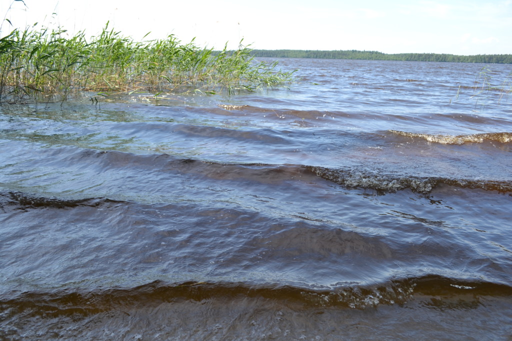 Озеро Судачье