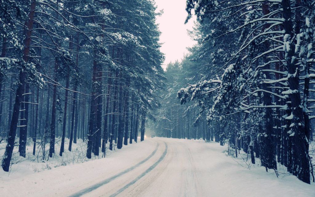 Основные приметы на 1 декабря