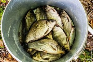 Календарь рыболова