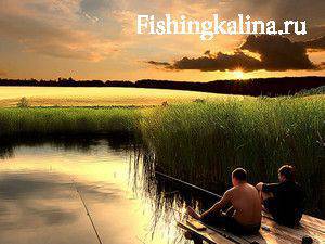 Как клев рыбы зависит от погоды