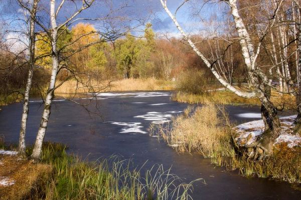 Погода в Москве в ноябре-2016