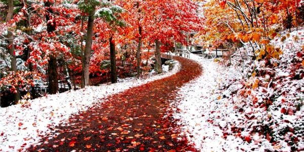 Погода в Москве в ноябре-2016