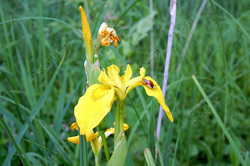 Погода налаживается