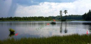 Ловля летом на поплавочную удочку выбор места