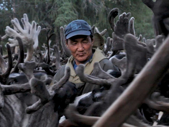 Кинематографисты повезут оленевода в Париж