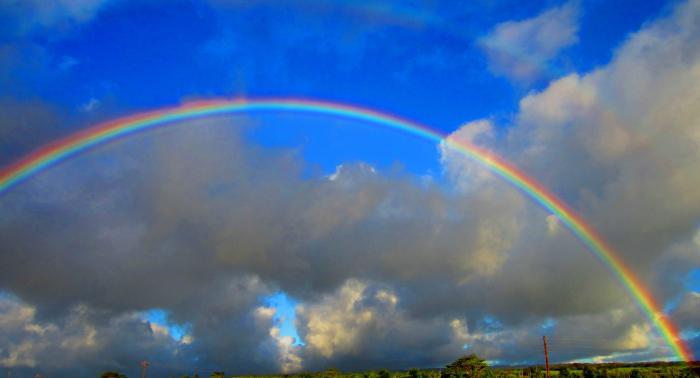 погодные явления летом