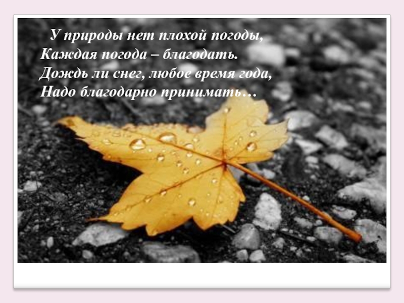 У природы нет плохой погоды, Каждая погода –