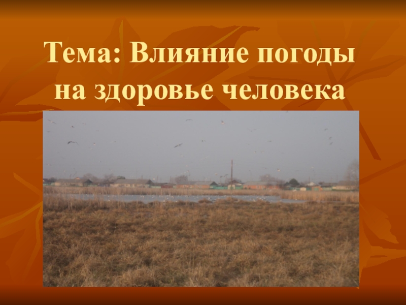 Тема: Влияние погоды на здоровье человека