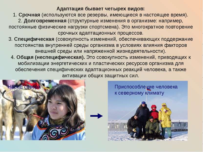 Адаптация бывает четырех видов: 1. Срочная (используются все резервы, имеющие. 