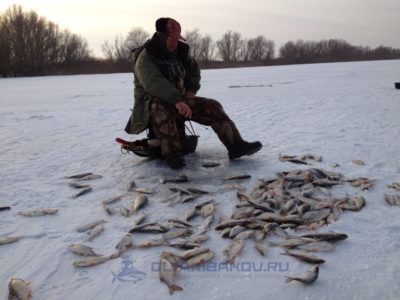 теории о влиянии давления на клев рыбы