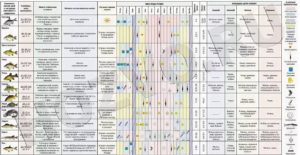 При каком давлении лучше клюет рыба зимой – реальность и вымысел