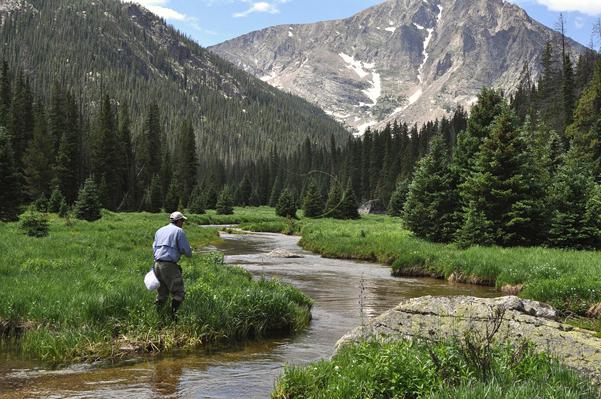 влияние давления на клев рыбы