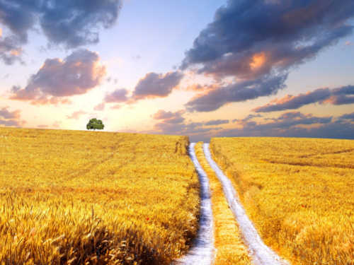 Приметы на август 2015 года