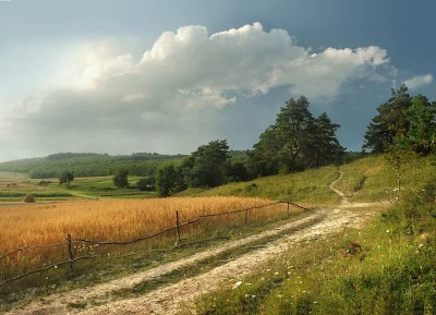 Август - пора уборки