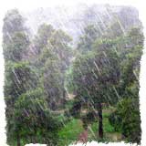 Приметы о дожде