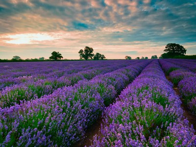 Приметы лета