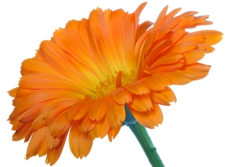 Приметы неживой природы о погоде на основе наблюдений за явлениями