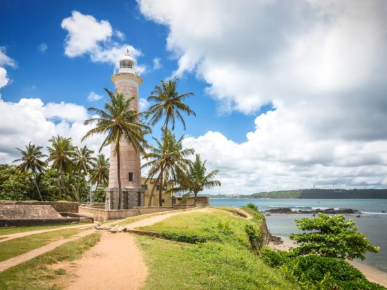 Ливень можно предсказать