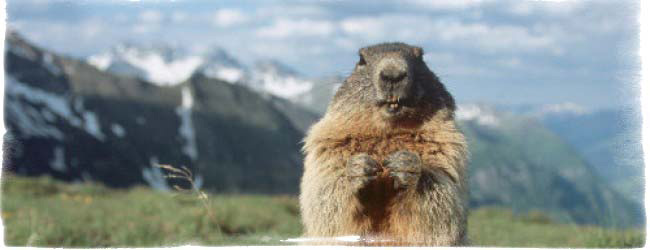 Приметы о природе