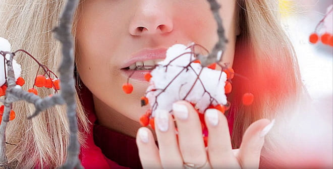 Рябина в снегу